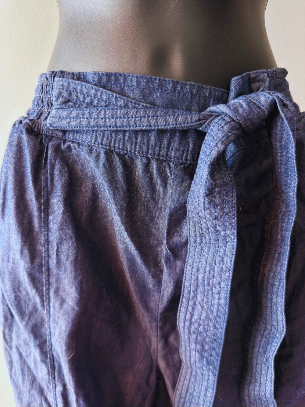 Anthropologie Indigo Drawstring Tapered Jogger Pants